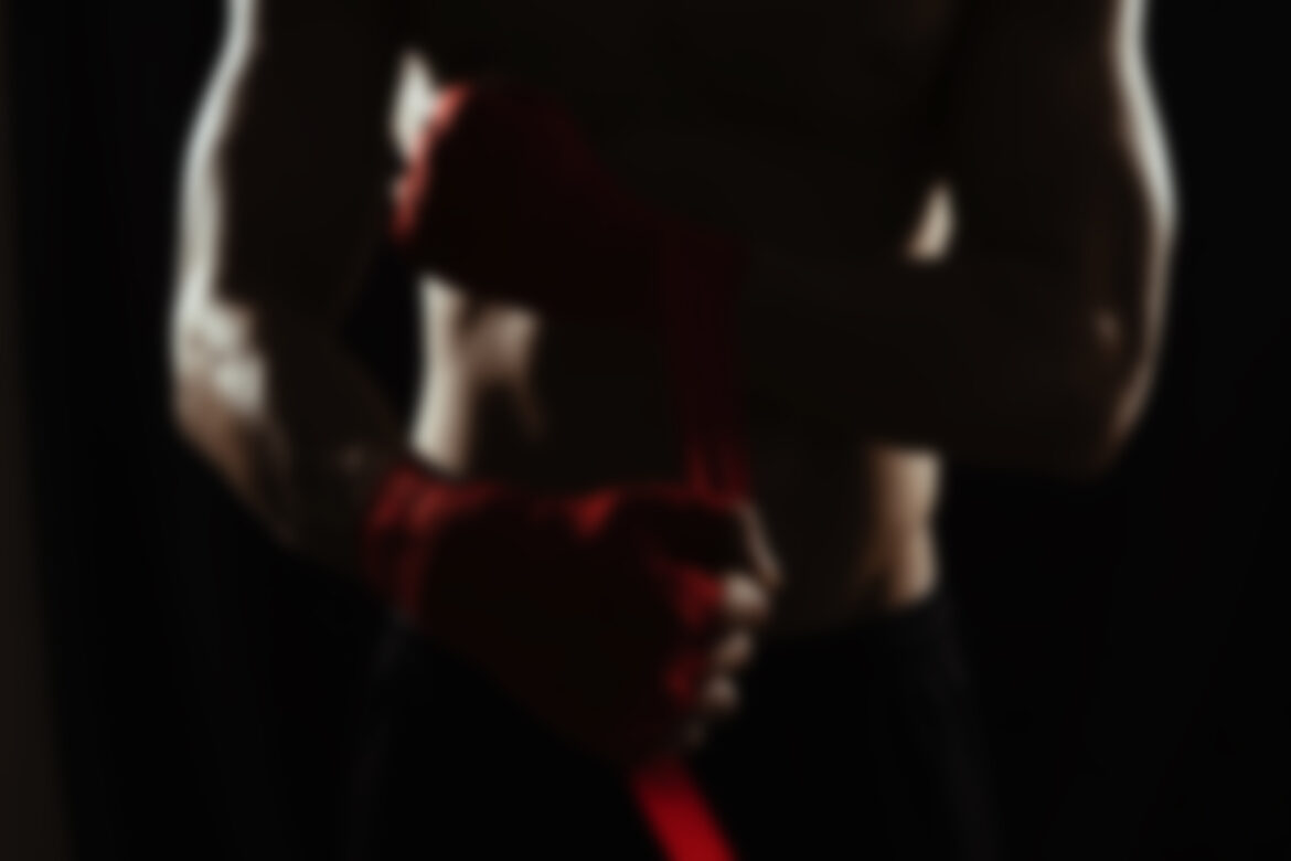 Quisque eget purus non sapien gravida